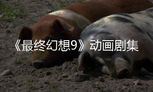 集确 聚焦黑最终幻作中画剧动魔导认制想9士