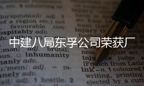 八局公司公开管理中建东孚民主荣获荣誉2项厂务